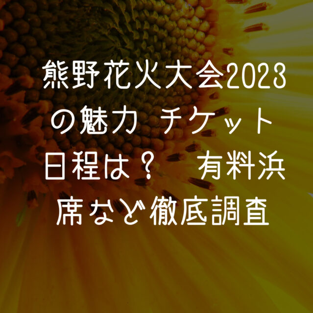 熊野花火大会 8/22火曜日 有料堤防席 横並びペアチケット定価以下