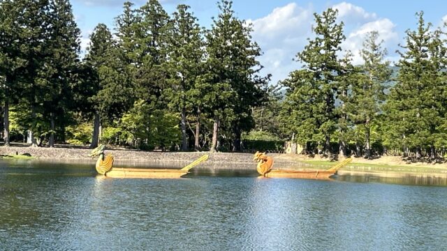Two yellow dragon boats with ornate heads glide on a calm lake, lined by tall evergreen trees under a blue sky with clouds.